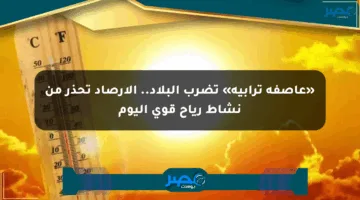 «عاصفة ترابية» تضرب البلاد.. الأرصاد تحذر من نشاط رياح قوي اليوم